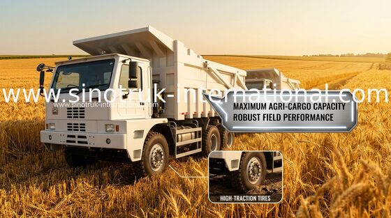 70 Ton Tipper Dump Truck SINOTRUK HOWO70 Penambangan LHD 6X4 420HP