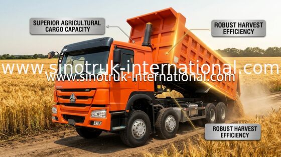 Truk Tipper SINOTRUK HOWO 371HP 12 Roda LHD 31 Ton 20-30CBM ZZ3317N3567W