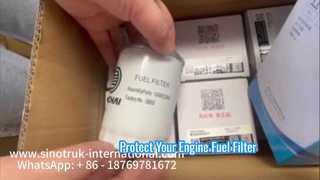 Elemen filter bahan bakar 1000622860